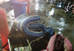 Pemkot Surabaya : Buang kasur di Sungai Denda Rp 50 Juta