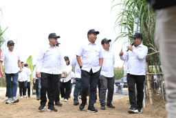 Danantara Dukung SGN Perkuat Ketahanan Pangan Nasional