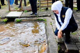 Instalasi Budidaya Ikan Mas Punten Diskanla Prov. Jatim  di Kota Batu, Siap Kembangkan Jutaan Benih