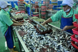 Realisasi Investasi Perikanan Hingga Triwulan III-2025 Capai Rp7,82 Triliun