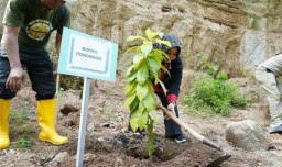 Pemkab Ponorogo Tanami Pohon di Lahan Bekas Tambang Galian C