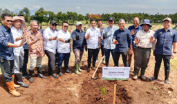 Dari Banyuwangi untuk Hilirisasi Nasional, PTPN I Tanam Ribuan Kelapa Genjah