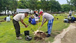 Hijaukan Pulau Mandangin, FPRB HCML Tanam Pohon Bidara