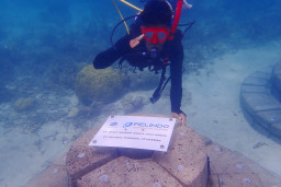 Pelindo Petikemas Terapkan Teknologi Terumbu Buatan APR untuk Dorong Wisata Berkelanjutan Karimunjawa
