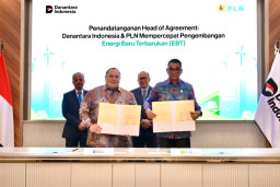 Danantara Indonesia dan PLN Jajaki Peluang Investasi Energi Baru Terbarukan
