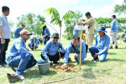 Pemkab Sumenep Bersama Medco Energi Gelar Penanaman Pohon di Ruang Terbuka Hijau