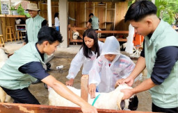 Musim Liburan, Wisata Edukasi Ijen Farmhouse Banyuwangi Jadi Favorit