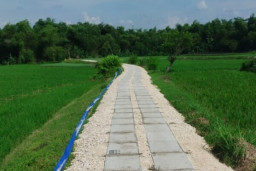 Pemkab Bojonegoro Alokasikan Dana Rp 31,1 Miliar untuk Bangun 163 Jalan Usaha Tani Tahun Ini