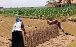 Pemkab Pamekasan Beri Perlindungan 1.724 Pekerja Rentan dengan Jamsostek