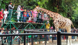 KBS Tawarkan Ngabuburit dengan Suasana Sejuk di Kawasan Satwa