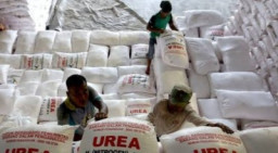 Musim Tanam Tahun Ini, Pemkab Sampang Tambah Kuota Pupuk Bersubsidi