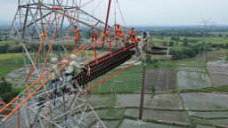 PLN UIT JBM Perkuat Keandalan Jaringan 500 kV Paiton-Grati