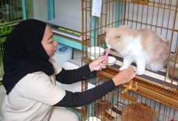 Libur Lebaran, Jasa Penitipan Hewan di Kediri Kebanjiran Order