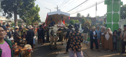 Tradisi Jember, 36 Pegon Gerobak Ditarik Sapi Tempuh 6 Km Menuju Pantai Watu Ulo