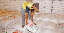 Serapan Pupuk Subsidi di Kabupaten Tulungagung Capai 30 Persen