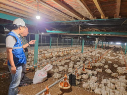 Tarif Listrik Triwulan II 2026 Tetap, Pemerintah Jaga Daya Beli dan Stabilitas Ekonomi