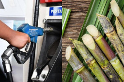 Pertamina Incar Tebu untuk Kembangkan Bensin Nabati