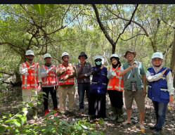 TPS Konsisten Lestarikan Mangrove Sejak 2010, Perkuat Ekosistem dan Dekarbonisasi Pelabuhan
