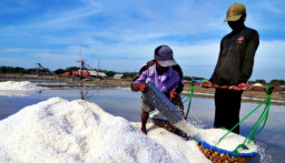 Kelangsungan Petani Tambak Garam Sumenep Terancam Importasi Garam