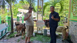 MPM Honda Jatim Konsisten Berbagi Hewan Kurban, Perkuat Semangat Kebersamaan di Hari Raya Idul Adha