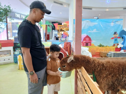 Libur Idul Adha, Wahana Edukasi Little Farm di Icon Mall Gresik Diserbu Keluarga