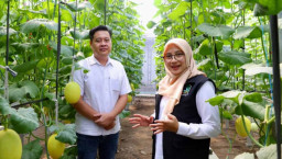 Program Ipuk Fiestiandani Berbuah Manis, Petani Muda Bermunculan