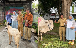 Semangat Berbagi di Momen Idul Adha, RBNP Salurkan Sapi dan Kambing untuk Warga Sekitar