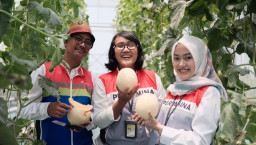 Pertagas OEJA Dukung Panen Melon Produktif di Tanggulangin