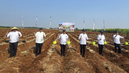 PT SGN Bersama Kementan Perkuat Ketahanan Pangan melalui Gerakan Tanam Serentak