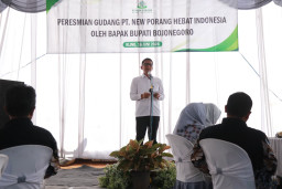 Bupati Setyo Wahono Resmikan Pabrik Porang di Kecamatan Seka