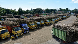 PG Assembagoes Pecahkan Target, Kapasitas Giling Tembus 5.500 TCD