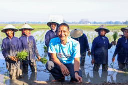 Bupati Bojonegoro Tinjau Pertanian dan Cek Langsung Hasil Program Gayatri