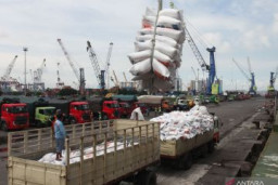 Antisipasi Kemacetan, Pelindo Sediakan Buffer Area di Tanjung Perak