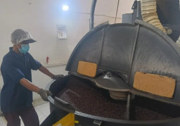 PDP Kahyangan Jember Kembangkan Kopi Organik
