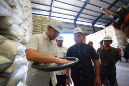 Bulog Jatim Serap 884.559 Ton Gabah Petani, Lampaui Target Nasional