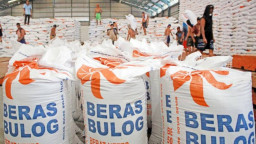 BULOG Serap 3,5 Juta Ton Beras, Capai 87 Persen Target Nasional