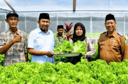 Pemkab Sumenep Kembangkan Usaha Pertanian Hidroponik