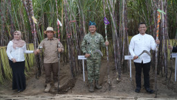 KASAU Bersama SGN Panen Tebu di PG Semboro Jember