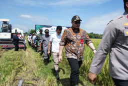 Gandeng PLN dan Pertamina, Pemkab Kediri Jaga Pengairan Lahan Pertanian