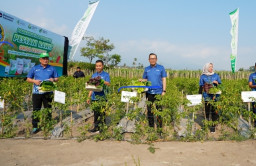 Petrokimia Gresik Dorong Produktivitas Petani Cabai Rawit Jatim lewat Budidaya Berbasis Teknologi