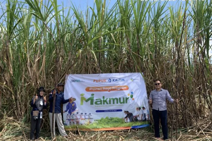 Tebu Jadi Tanaman dengan Produktivitas Tertinggi di Jatim