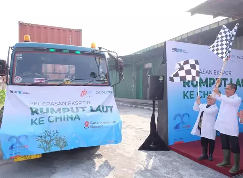 ID Food Dorong Peluang Ekspor Rumput Laut ke China