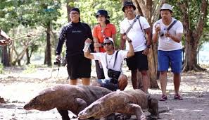 Sektor usaha pariwisata Indonesia berada di jalur pertumbuhan yang positif.