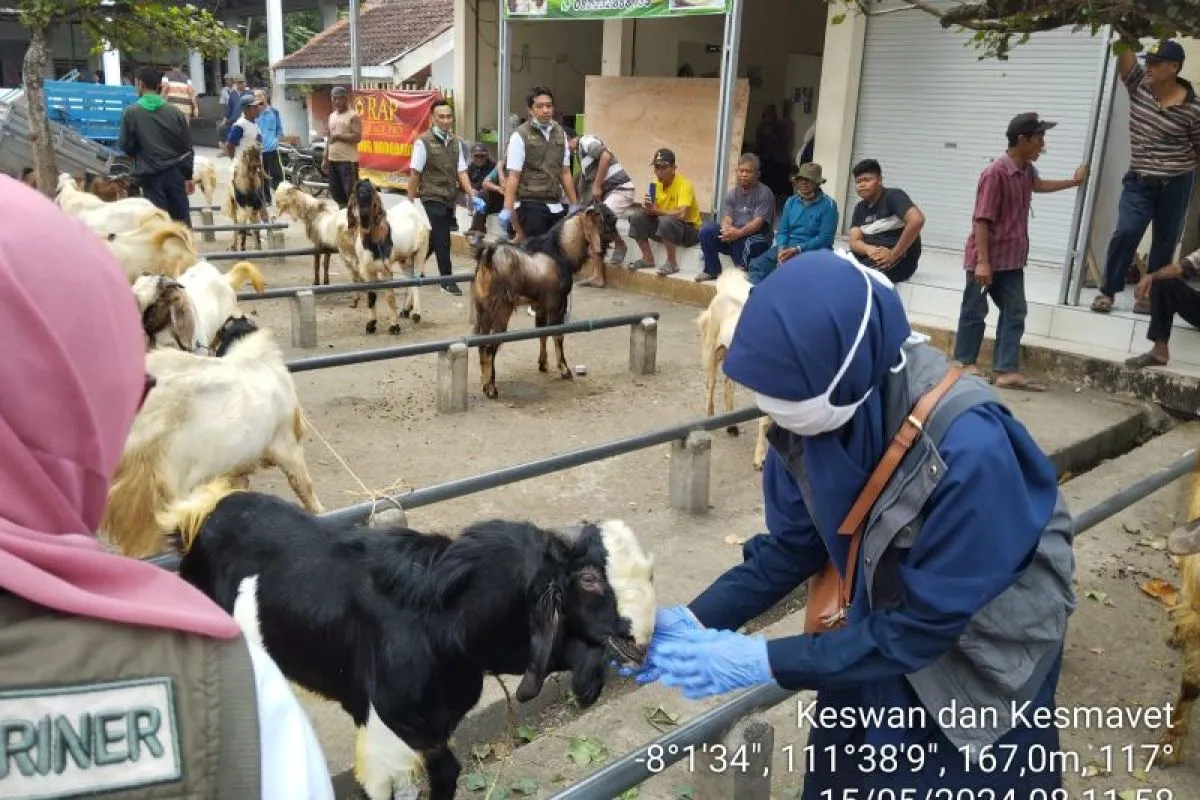 Pemkab Trenggalek Jamin Stok Hewan Kurban Tersedia