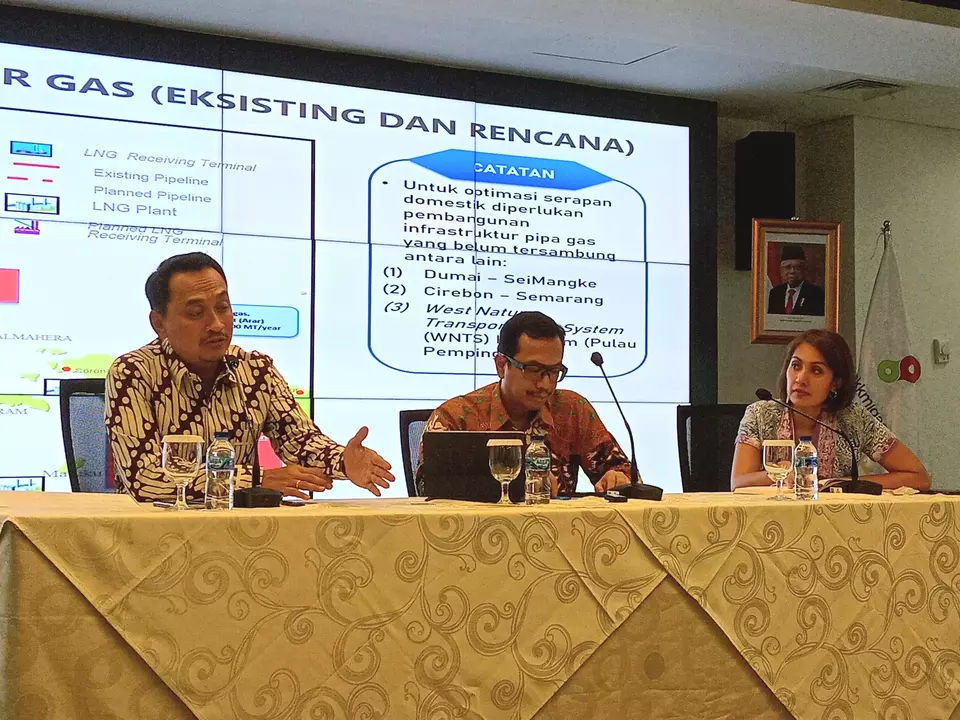 SKK Migas Dorong Pengembangan Gas secara Optimal