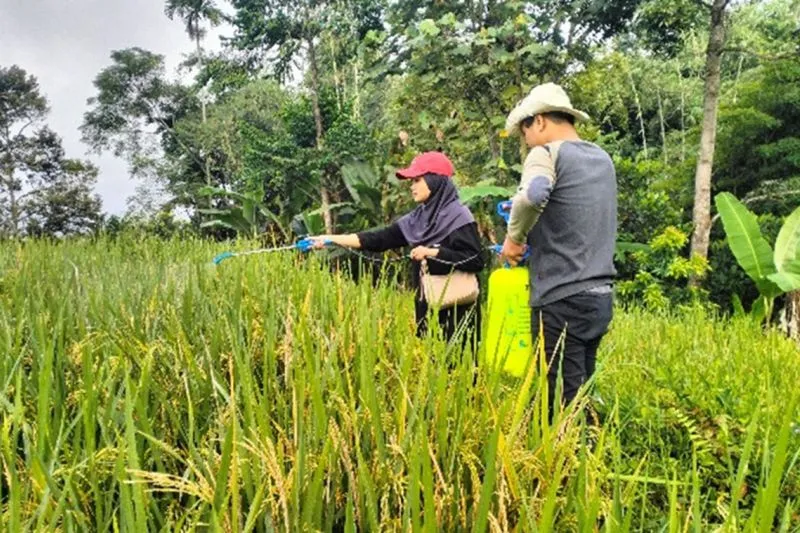 Mahasiswa Unej Ciptakan Alat Pembuat Pestisida Organik