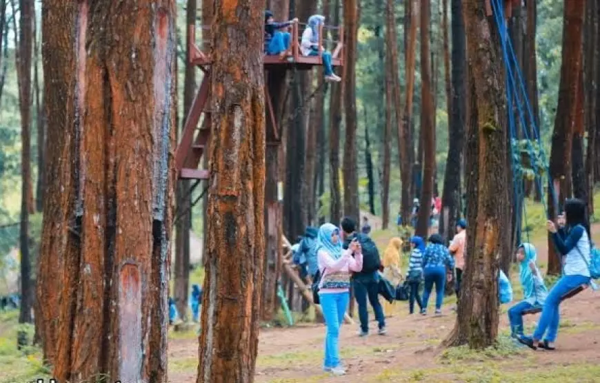 Desa Wisata Kare Raih Penghargaan MATA Awards 2024