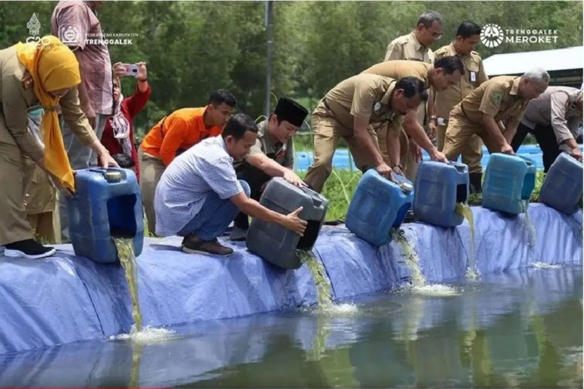 Kabupaten Trenggalek Hasilkan 2.323 Ton Ikan Budidaya di Semester I