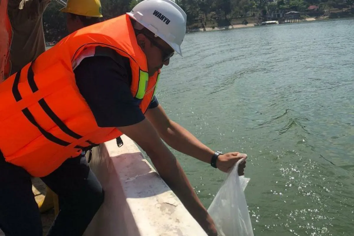 Perum Jasa Tirta I Tebar Benih Ikan di 3 Waduk