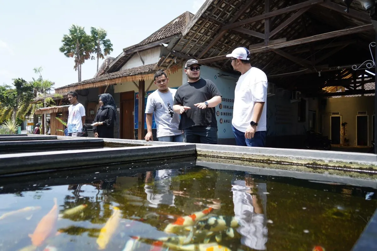 Pemkab Kediri Kembangkan Ikan Koi Sebagai Budidaya Unggulan